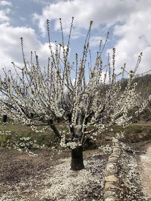 La Duquesa Del Valle Cabezuela Del Valle Esterno foto
